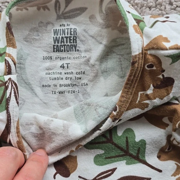 Winter Water Factory Dress Size 4T - Picture 2 of 3